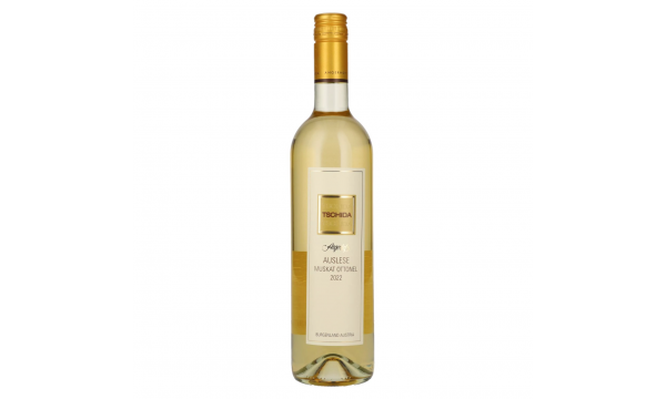 Tschida Angerhof Auslese Muskat Ottonel 2022 8% Vol. 0,75l saldus