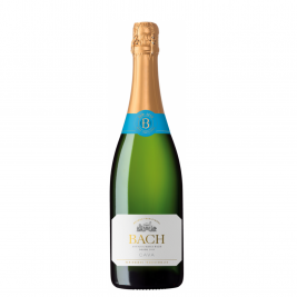 Bach Cava Semi Seco 11.5% Vol. 0.75l pusiau sausas