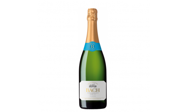 Bach Cava Semi Seco 11.5% Vol. 0.75l pusiau sausas