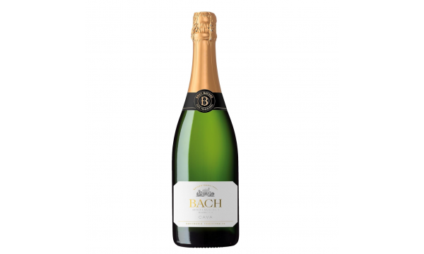 Bach Cava Brut 11.5% Vol. 0.75l briutas