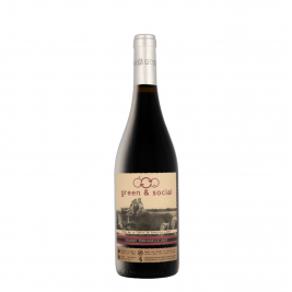 Cuatro Rayas Vdt Tempranillo Green & Social 2022 13% Vol. 0.75l sausas