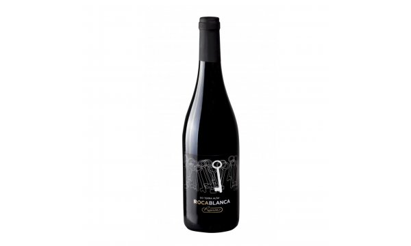 Vino Terra Alta Rocablanca Reserva 13% Vol. 0.75l sausas