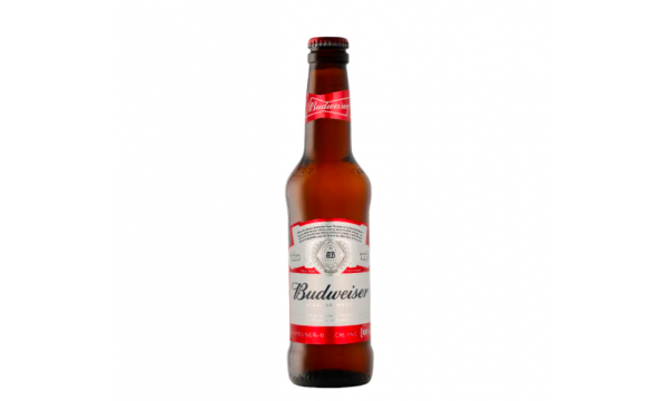 Budweiser 5% Vol. 0,33l šviesus