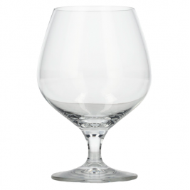 Schott Zwiesel Mondial Cognac glass