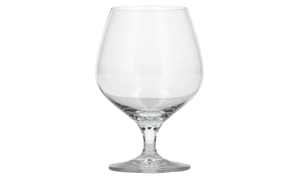 Schott Zwiesel Mondial Cognac glass