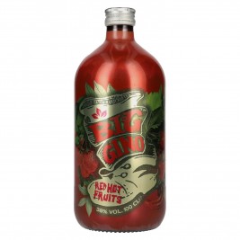 Big Gino Gin RED HOT FRUITS 38% Vol. 1l