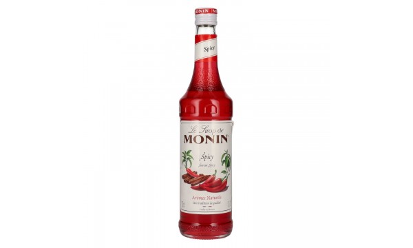 Le Sirop de Monin SPICY 0,7l