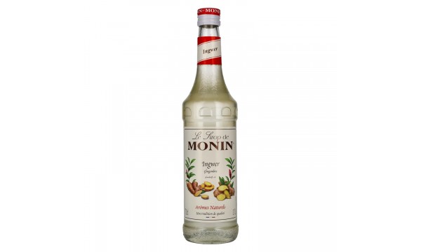Le Sirop de Monin INGWER 0,7l