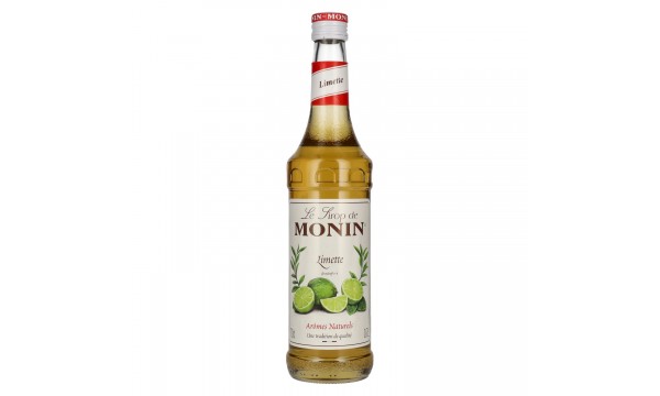 Le Sirop de Monin LIMETTE 0,7l