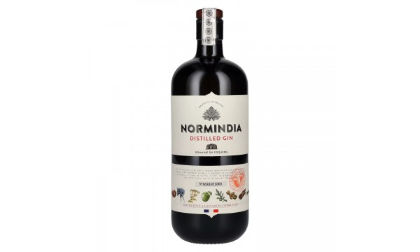 Normindia Gin Distillé 41,4% Vol. 0,7l