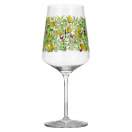 RITZENHOFF Sommertau Hugo R. Aperitifglas #11 0,544l