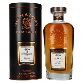 Signatory Vintage BENRIACH 11 Years Old Cask Strength Collection #104 2015 58,5% Vol. 0,7l dovanų dėžutėje