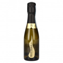 Bottega Il Vino dei Poeti Prosecco DOC Brut 11% Vol. 0,2l, briutas