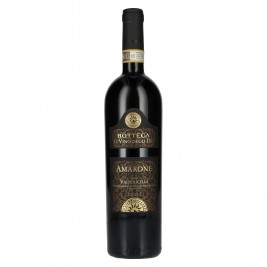 Bottega AMARONE della Valpolicella DOCG 2021 16% Vol. 0,75l, sausas