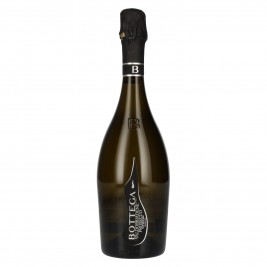 Bottega Il Vino dei Poeti VALDOBBIADENE Prosecco Superiore DOCG 2024 11,5% Vol. 0,75l, sausas