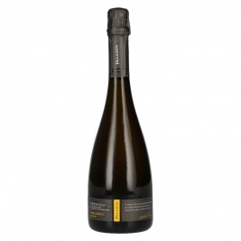 Paladin Prosecco Millesimato Extra Dry DOC 2025 11% Vol. 0,75l, pusiau sausas