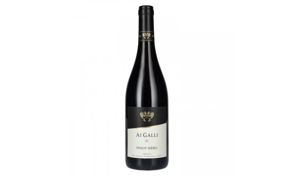 AI GALLI Pinot Nero Veneto IGT 2024 13% Vol. 0,75l, sausas