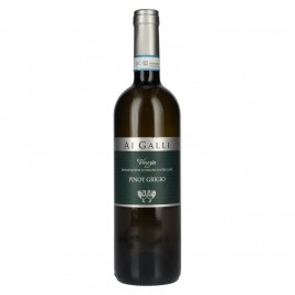 AI GALLI Pinot Grigio Venezia DOC 2024 13% Vol. 0,75l, sausas