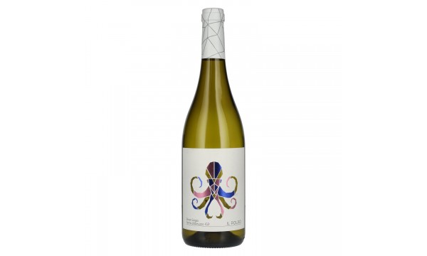 IL POLPO Pinot Grigio Terre d'Abruzzo IGP 2024 12,5% Vol. 0,75l, sausas