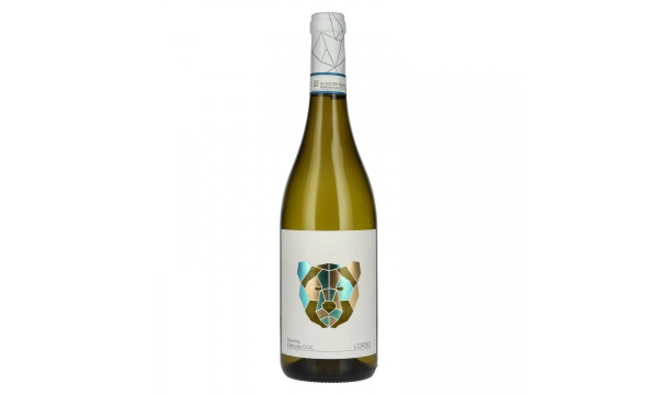 L'ORSO Pecorino Abruzzo DOC 2024 13% Vol. 0,75l, sausas