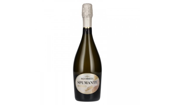 Hochriegl Spumante Bianco 11% Vol. 0,75l, briutas