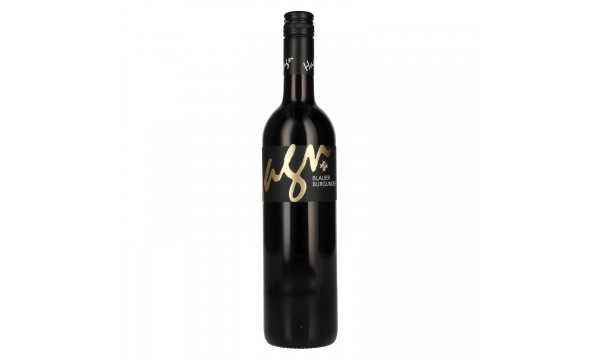 Hagn Blauer Burgunder 2023 13% Vol. 0,75l, sausas Hagn Blauer Burgunder 2023 13% Vol. 0,75l, sausas