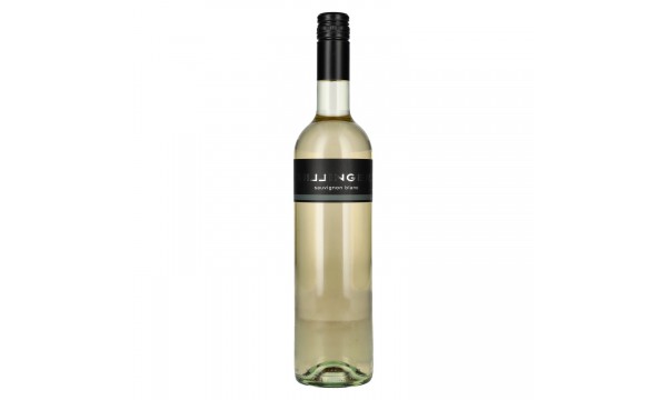 Hillinger Sauvignon Blanc 2024 12,5% Vol. 0,75l, sausas