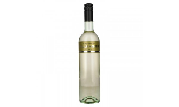 Hillinger Goldmuskateller 2025 11,5% Vol. 0,75l, sausas Hillinger Goldmuskateller 2025 11,5% Vol. 0,75l, sausas