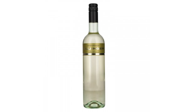 Hillinger Goldmuskateller 2025 11,5% Vol. 0,75l, sausas Hillinger Goldmuskateller 2025 11,5% Vol. 0,75l, sausas