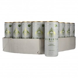 REBIRTH Supreme Organic Drink Ingwer-Minze 24x0,25l Dosen
