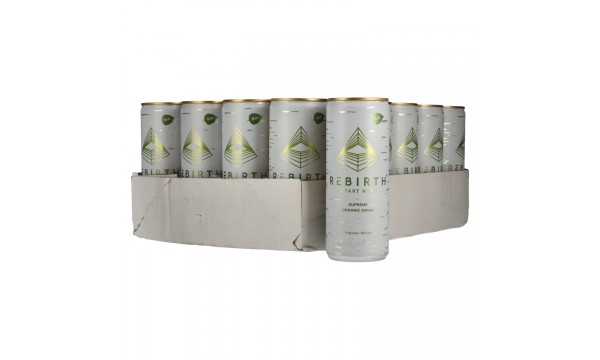 REBIRTH Supreme Organic Drink Ingwer-Minze 24x0,25l Dosen