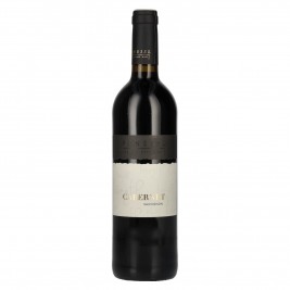 Pfneisl Cabernet Sauvignon 2022 14% Vol. 0,75l, sausas