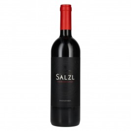 Salzl Pannoterra 2020 14% Vol. 0,75l, sausas