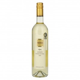 Tschida Angerhof Auslese Muskat Ottonel 2024 8% Vol. 0,75l, saldus