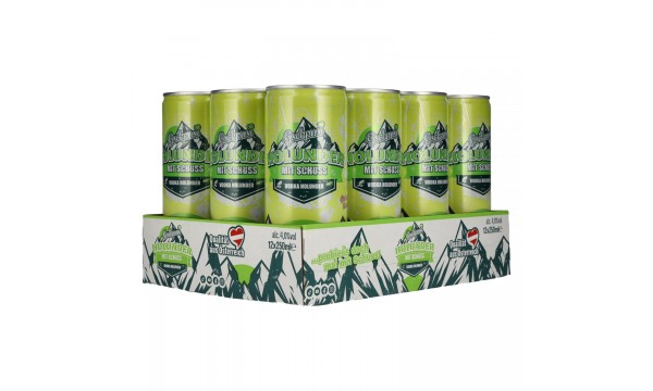 Gschpusi Holunder with Schuss 4% Vol. 12x0,25l Dosen Pfand